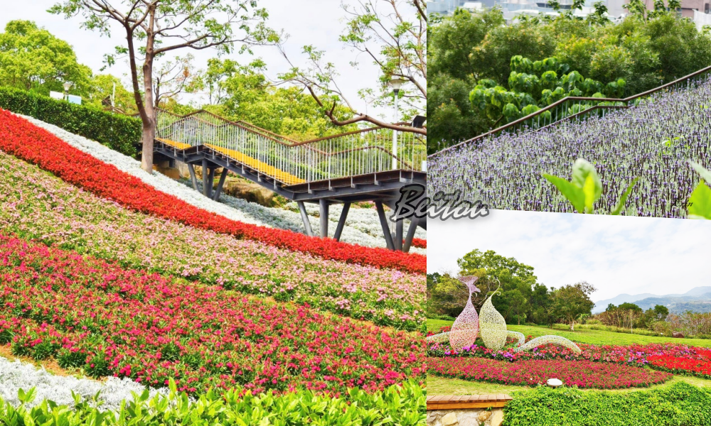 【新北景點】北投社三層崎公園花海~上帝的花毯遺落在這翠綠的山谷中